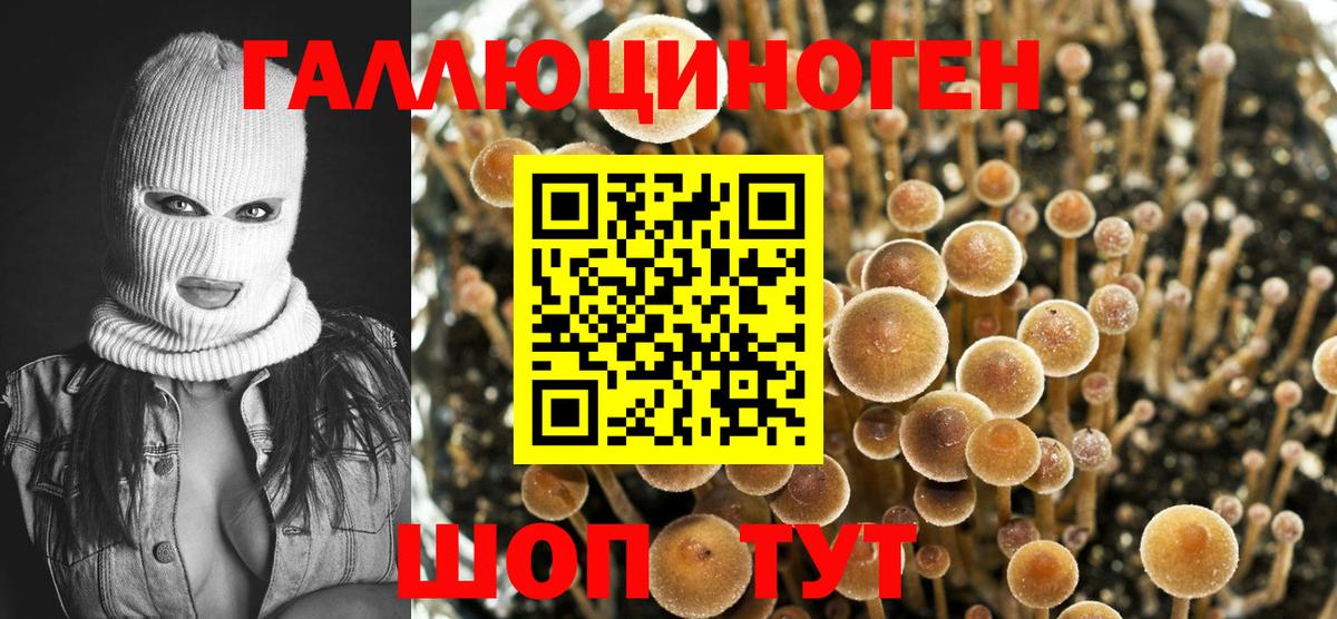 Галлюциногенные грибы Cubensis  Вход с VPN  Надым  Галлюциногенные грибы GOLDEN TEACHER 